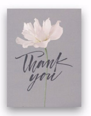 Note Card-Thank You-Rose & Gray (Pack of 10) (Aug)