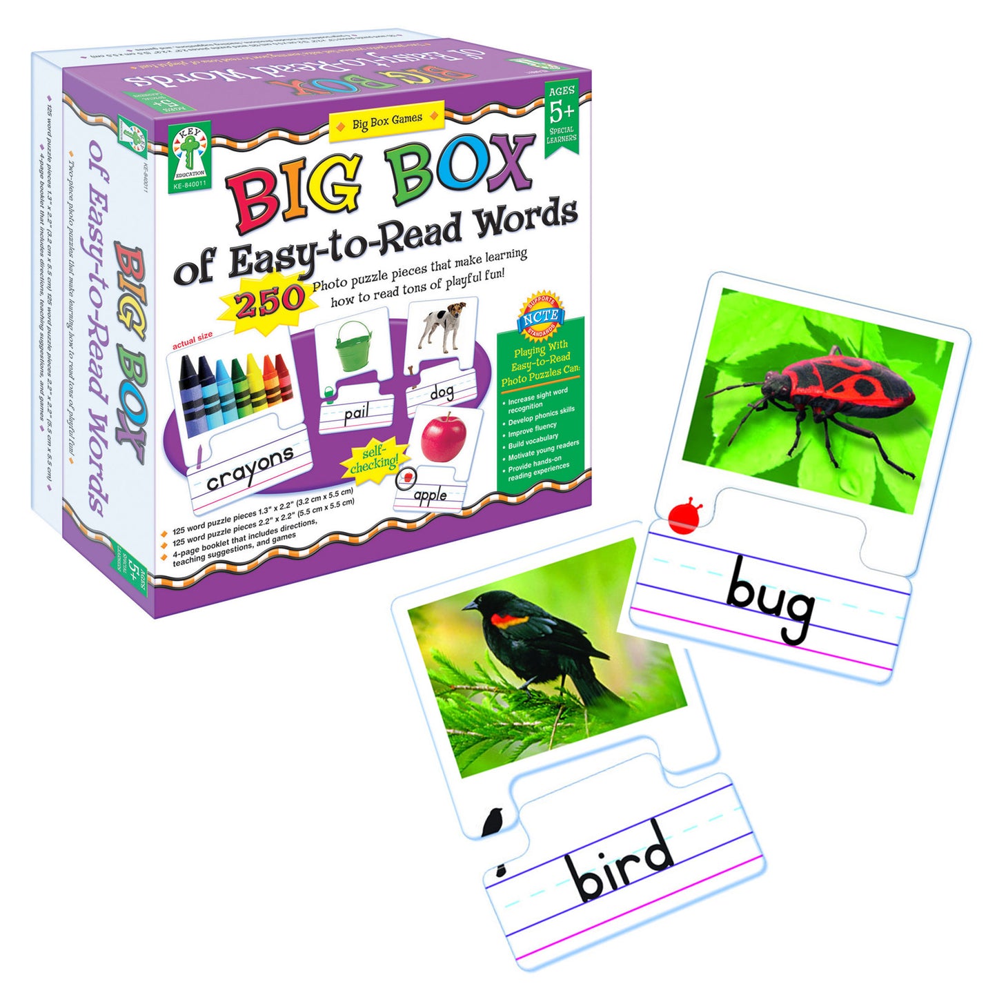 Big Box Of Easy To Read Words Game Age 5+ Special Education