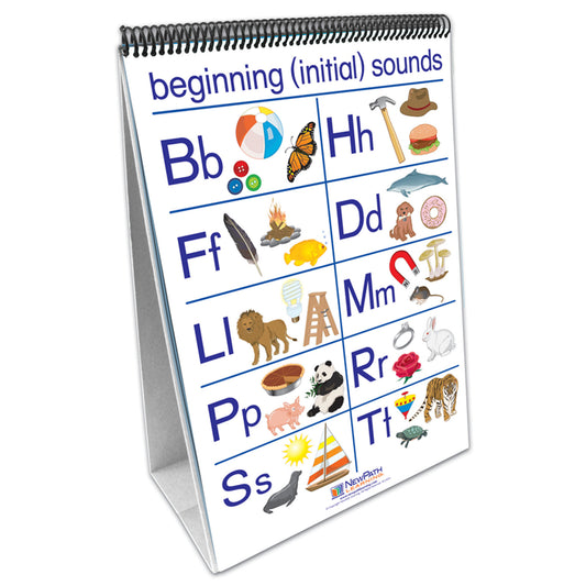 Early Childhood Ela Phonemic Awareness Readiness Flipchart