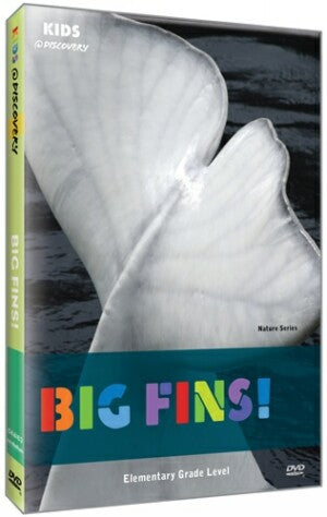 Big Fins!