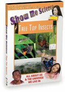 Ecology: Tree Top Insects