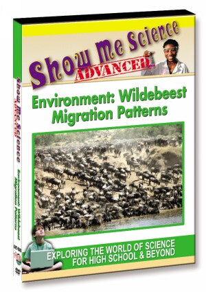 Environment: Wildebeest Migration Patterns